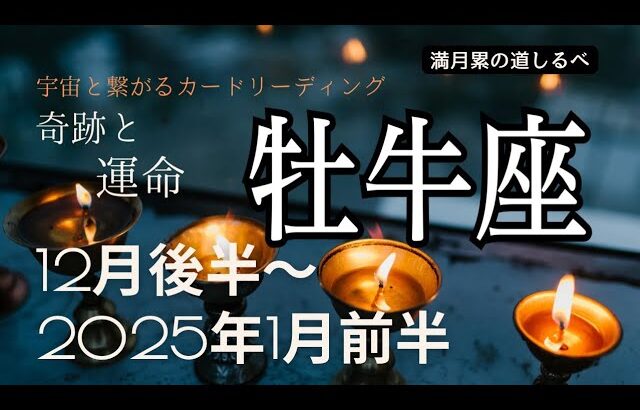 牡牛座♉️12月後半〜2025年1月前半の運命⭐️凄いカードが揃う‼️大好転🎉あっと言う間に希望を叶え新たな形の幸福がやって来る😊