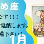 ※フライング未来予測。ガチ展開の2025年！！幸せの育て方を教えます。【1月の運勢　乙女座】