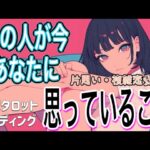 【本音明かします💌相手の気持ち】片思い複雑恋愛タロットカードリーディング🕊️✨