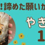 【山羊座】2025年1月♑️すごい急展開‼️諦めてた夢や願いが叶う✨✨才能が開花する❗️