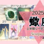 【蠍座♏️】2025年✨年間リーディング上半期1月〜6月までをみてます⭐︎マンスリーリーディングのテーマカード⭐︎