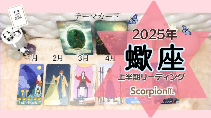 【蠍座♏️】2025年✨年間リーディング上半期1月〜6月までをみてます⭐︎マンスリーリーディングのテーマカード⭐︎