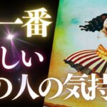 ➳❤︎恋愛タロット:: 今いちばん新しいあの人の気持ち、お伝えします☽*̣̩山羊座新月であの人のココロは？🌛💕あの人からのメッセージ＆あなたへの応援アドバイスメッセージ付 (2024/12/31)