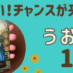 【魚座】2025年1月♓️すごい‼️チャンスがやって来る❗️光りが見つかる✨豊かさが広がっていく❗️