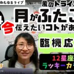 【2024年12月14日の星読み】月はふたご座へ「臨機応変に物事を進めよう」「今日の天体解釈と今！今伝えたい事がある星座は？ハッピー占い・占星術ライター山田ありす