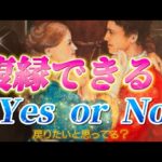 【⚠️厳しい結果あり】あの人は復縁したいと思ってる？また戻りたい？お相手の今のド正直な気持ち💗個人鑑定級　透視タロット占い