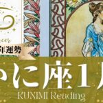 蟹座♊1月運勢✨うきうきワクワク心ときめくお知らせが！🌟現状🌟仕事運🌟恋愛・結婚運🌟ラッキーカラー🌟開運アドバイス🌝月星座かに座さんも🌟タロットルノルマンオラクルカード