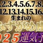 個人鑑定級【水瓶座♒】2025年運気予報　2月1日.2.3.4.5.6.7.8.9.10.11.12.13.14.15.16.17.18日生まれ日さん　【タロットとオラクルカードリーディング】