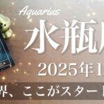 【みずがめ座】2025年1月♒️ 一新！真新しい世界！リセットと無限の可能性、その一歩が作る道、広がっていく経験、分かち合う