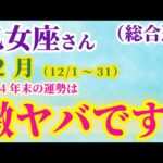 【乙女座の総合運】 2024年12月1日から31日までのおとめ座の運勢。星とタロットで読み解く未来 #乙女座 #おとめ座