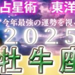 【2025年の運勢・牡牛座（おうし座）】西洋占星術×東洋占…水森太陽が全体運・仕事運＆金運・恋愛運を占います【開運アドバイス＆ラッキーカラー付き】星座×干支