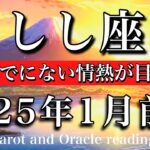 しし座♌︎2025年1月前半 圧倒的な存在感🔥今までにない情熱が目覚める　Leo tarot  reading