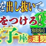 ★忖度なし★白珠イチゴが占う2024年冬至〜2025年春分の運勢★双子座★