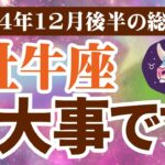 【牡牛座】2024年12月後半おうし座の恋愛運、金運、健康運をタロットと占星術で鑑定