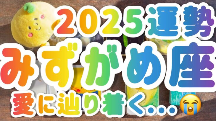 【水瓶座】 2025年運勢　愛に💖辿り着く😭　　 #占い カードリーディング