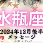 【みずがめ座12月後半】2025年に何を持っていく⁉️自分の心の声を聞いてあげて💗フラットに✨