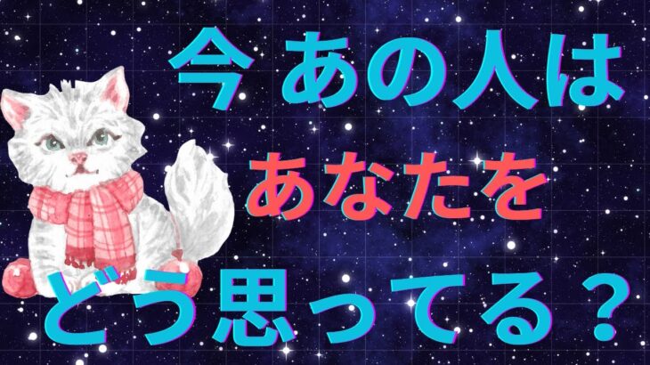 あの人にあなたへの正直な気持ちを聞きました❤️恋愛タロット占い ルノルマン オラクルカード 個人鑑定級に深掘りリーディング