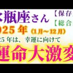 【水瓶座の総合運】2025年（1月～12月）のみずがめ座の総合運。星とタロットで読み解く未来 #水瓶座 #みずがめ座