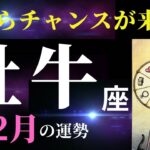 【牡牛座12月】仕事・お金・恋愛、すべてにおいてチャンスの時期！（タロット＆オラクルカードリーディング）