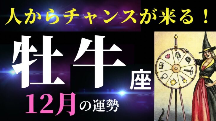 【牡牛座12月】仕事・お金・恋愛、すべてにおいてチャンスの時期！（タロット＆オラクルカードリーディング）