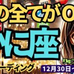 【蟹座】♋️2024年12月30日の週♋️輝く太陽になる。ご自身のやってきた事、私の全てがOK。大復活する時。タロット占い。かに座