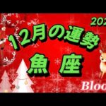 ♓️魚座   【2024年12月の運勢】  愛❤️想いを伝える🌈深い絆、復縁もありそう😍