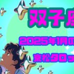 【双子座】2025年1月の運勢✨見た時がタイミング✨