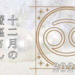 【蟹座さん♋︎】2024年12月の星座リーディング🌸✨宝くじ買っちゃう？✨