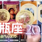 水瓶座さんの2025年✨次の新しい世界への招待状を受け取る！いろんな意味で生きやすくなる年✨お仕事お金、恋愛パートナーシップ、重要月、開運ポイント、注意点など2025年を最高の年にするためのメッセージ