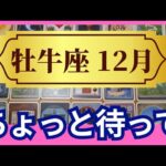 【牡牛座♉12月運勢】うわっすごい！個人鑑定級のグランタブローリーディング✨ちょっと待ってみよう！冬至からの運気急上昇とご褒美が後から来る（仕事運　金運）タロット＆オラクル＆ルノルマンカード