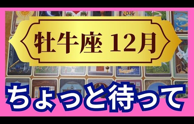 【牡牛座♉12月運勢】うわっすごい！個人鑑定級のグランタブローリーディング✨ちょっと待ってみよう！冬至からの運気急上昇とご褒美が後から来る（仕事運　金運）タロット＆オラクル＆ルノルマンカード