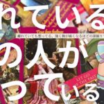 【神経すり減る超神回】あの人の気持ちを限界まで深掘りして占った結果、心が痛くなる本音が出てきました。2024年もありがとうございました🌸🌰