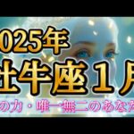 牡牛座2025年1月♉️個の力が最高潮🥹✨すごいエネルギー🌈唯一無二のあなた🌹