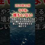 【牡牛座】2024年12月おうし座、孤独が押し寄せる試練の12月…運命を切り開く光とは？#牡牛座#おうし座