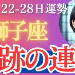 【獅子座】2024年12月22日の週　しし座 週間運勢「奇跡の連続が起こる…!?」富と幸福をもたらすリアル級の鑑定［タロット3枚引き＆占星術］全体運・恋愛運・仕事運・金運・人間関係