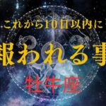 【牡牛座♉️】見た時から10日以内に起きる🌟やっと報われる事🥹🎉