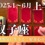 双子座♊️2025年上半期（1〜6月）の運勢　やったもの勝ち✨もっとチャレンジ❗️