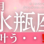 12月【水瓶座】起こること～叶う・・‼️～【ルノルマンカードリーディング＆アストロダイス】