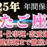 2025年双子座の運勢【年間保存版】全体運・仕事運・恋愛運・金運・健康運・冥王星水瓶座時代の過ごし方まで幸運をつかむための徹底ガイド！