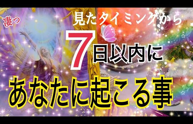 【ついに報われます❗️】見たタイミングから7日以内にあなたに起こる事🌈✨個人鑑定級タロット 占い🔮⚡️