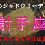 射手座12月〜1月【シャドウ】継続は金なり📣魔女のシャドウリーディング🌗