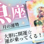 魚座♓️2024年12月の運勢🌈開運が加速❗️✨思い立ったら吉日💖癒しと気付きのタロット占い