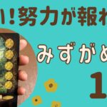 【水瓶座】2025年1月♒️すごい‼️努力が報われ評価される❗️新しいものを生み出す✨表現していく❗️