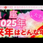 魚　座🪐【2025年予祝㊗️】驚愕🤗鳥肌級の神展開⚡️連発🎇今迄の人生の努力や苦労や経験が報われて覚醒し波に乗る年到来🎊先読み深掘りリーディング#2025年#潜在意識#魚座