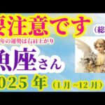 【魚座の総合運】2025年（1月～12月）のうお座の総合運。星とタロットで読み解く未来 #魚座 #うお座