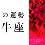 【牡牛座】2025年1月の運勢　大事な決断を下す時。今のおうし座にこわいもんなし！！タロット占い