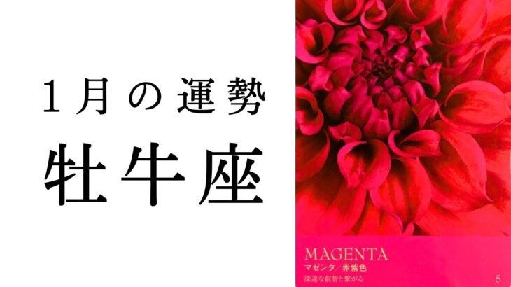 【牡牛座】2025年1月の運勢　大事な決断を下す時。今のおうし座にこわいもんなし！！タロット占い