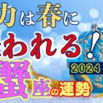 ★忖度なし★白珠イチゴが占う2024年冬至〜2025年春分の運勢★蟹座★