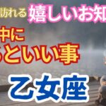 【乙女座🌈今年中に届くうれしいお知らせ🌟今年中にやるといいこと】🌈早く春がやってきます🌟無理なく得意なことで予想を超えて良い結果になりそうです🌈山登り⁈🌟でも、無理はしないでくださいね。