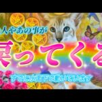 【遂にくる！】大切な人や物事があなたに戻ってくる✨またつながるご縁を視ます💗復縁・復活・再開　恋愛　仕事　個人鑑定級　透視タロット占い